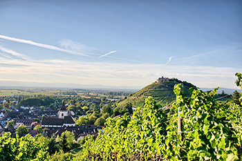 Staufen Panorama