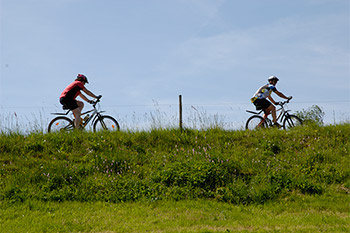 Fahrrad, Mountainbike